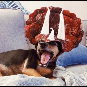 Dog dinosaur head costume.